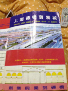 上海洞泾镇政府违法强拆贸易城；受损业
